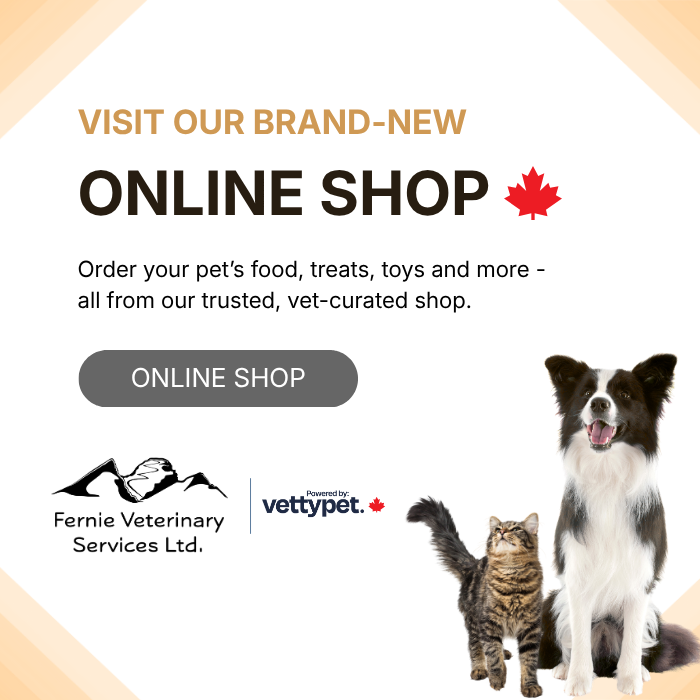 Popup Image