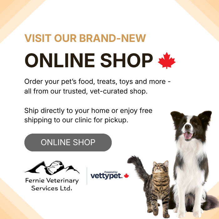 Popup Image